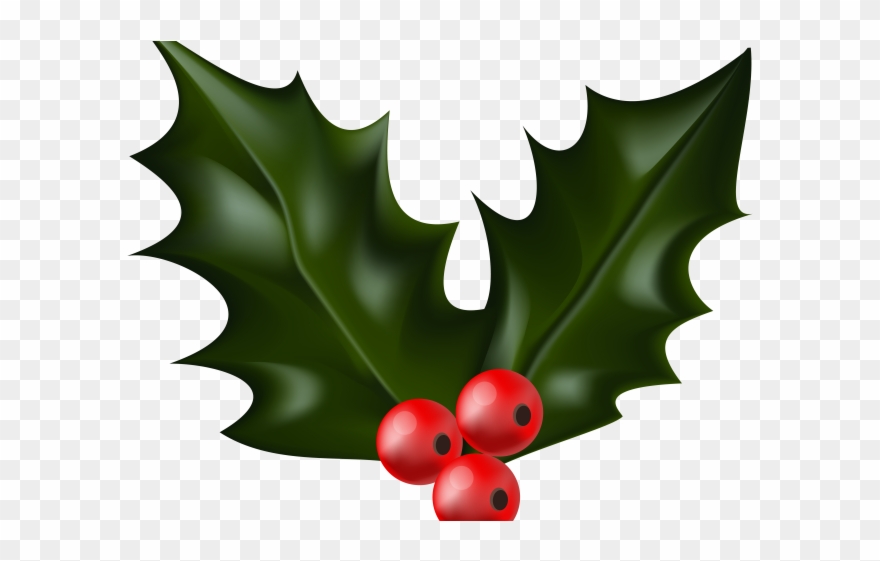 Christmas Clipart Holly - Holly Clip Art Png Transparent Png