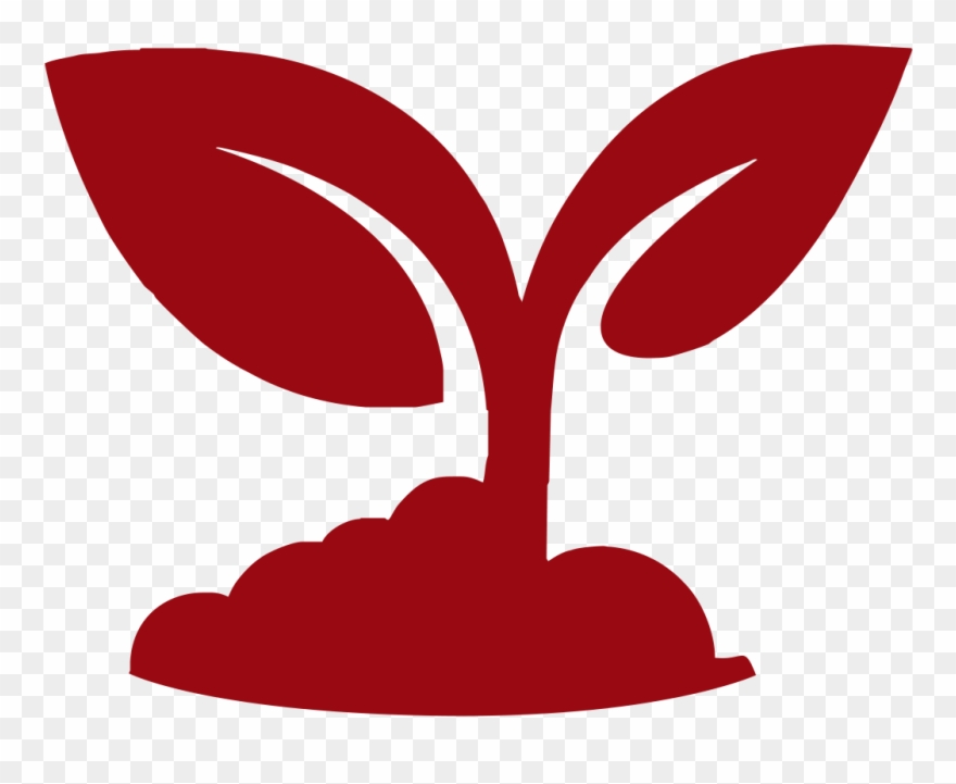 Sow Into The Linkfm Ministry Clipart