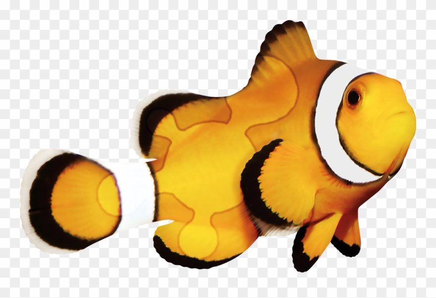 Prescribe Kindness, Every Day - Reef Fish Clipart