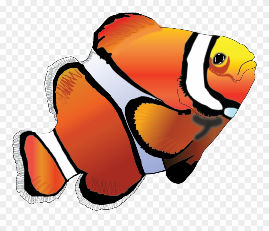 Clown Fish Clipart