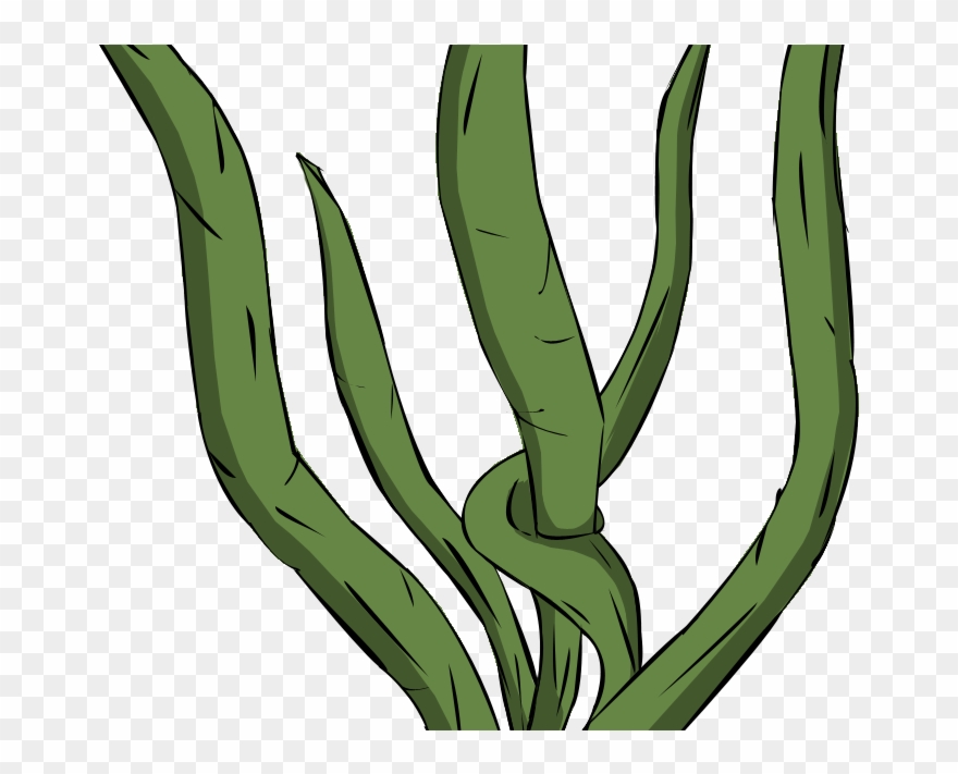 2d Game Design - Seaweeds Clipart - Png Download