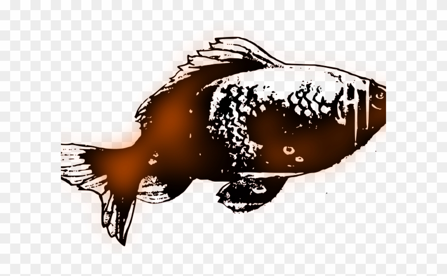 Gold Fish Clipart Simple - Illustration - Png Download