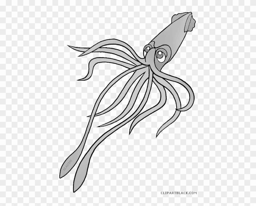 Squid Clipart Happy - Calamar Infantil - Png Download