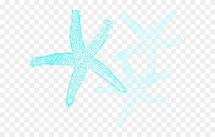 Starfish Clipart Aqua - Fish Clip Art - Png Download
