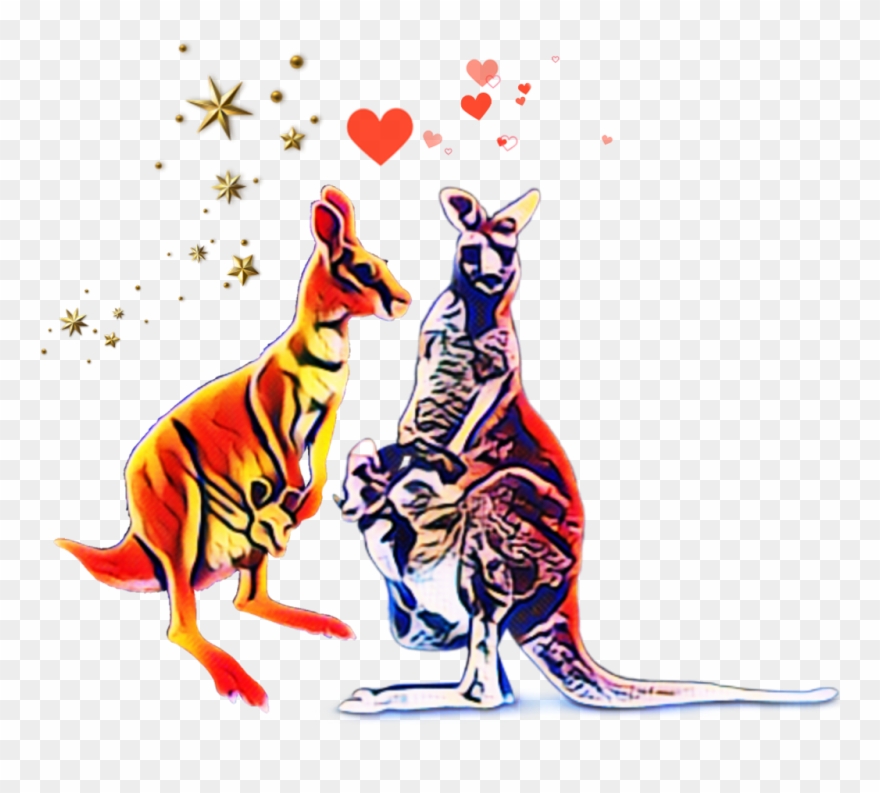 Kangaroo Clipart