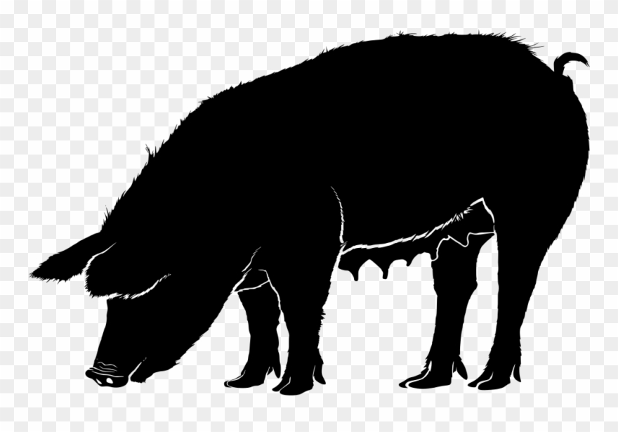Download Png - Pig Vector Png Clipart