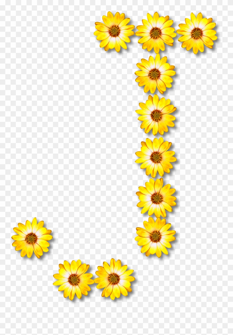 Big Image - Daisy Flower Alphabet Png Clipart