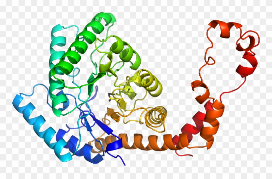 D4ximb In Context Of Chain Clipart