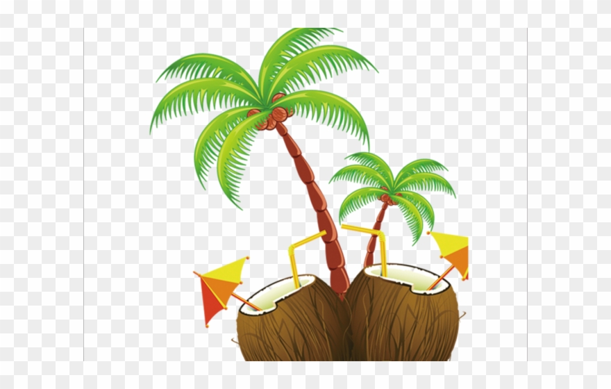 Coconut Clipart Hawaii Coconut - Coconut Tree Clipart Png Transparent Png