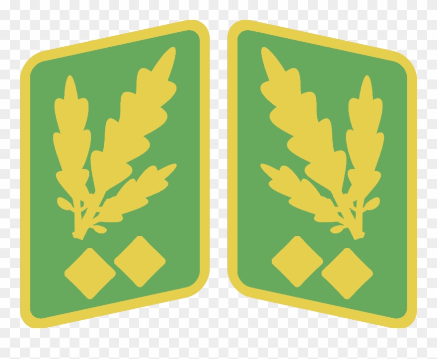 Polizei Kragenspiegel 1942-45 - Ss Standartenführer Clipart