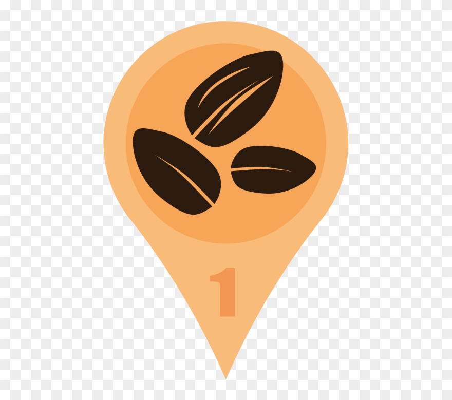 Carnation For Bas In Apeldoorn A Few Moments Ago - Illustration Clipart