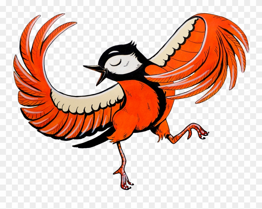 31 Ink Drawings - Illustration Clipart