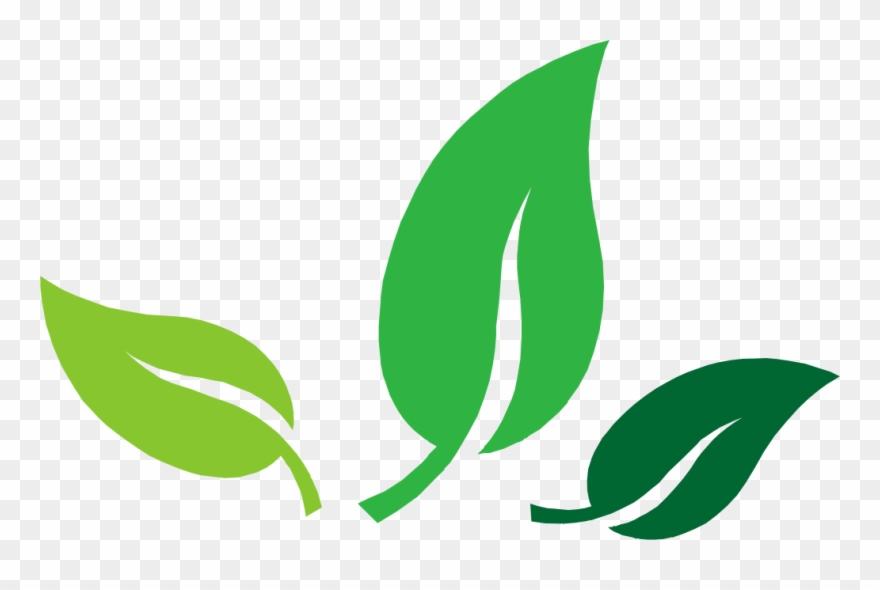 Thyme For Natural Medicine Clipart