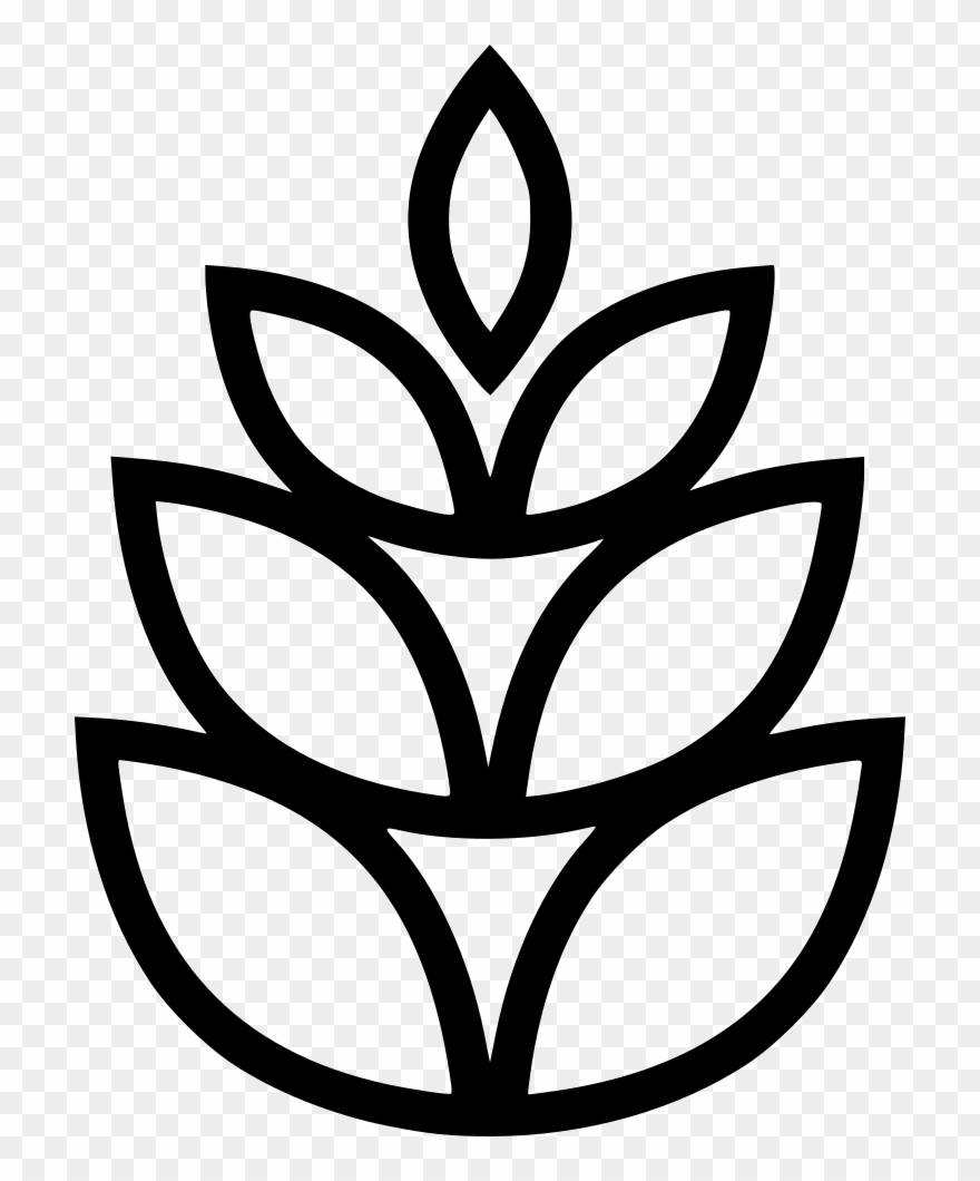 Pine Cone Png - Conifer Cone Clipart