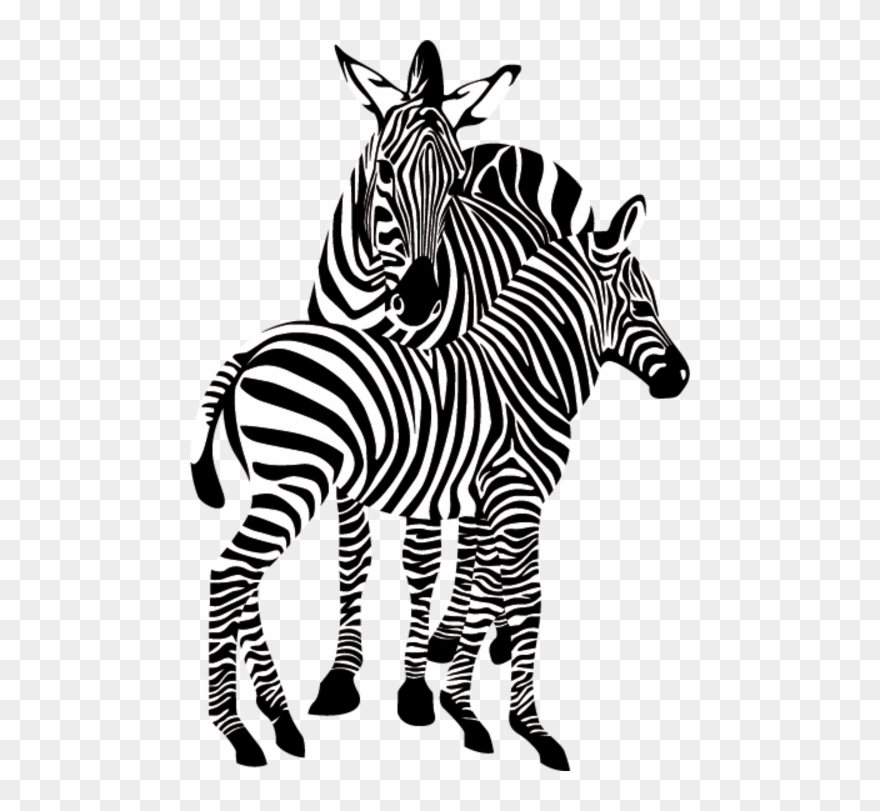 Zebre - Zebra Gif Transparent Background Clipart