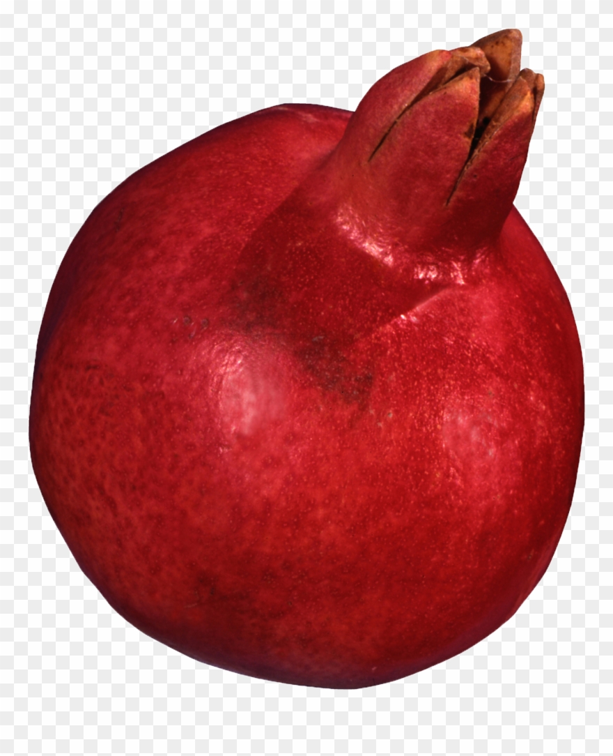 Granatapfel3 - Pomegranate Clipart