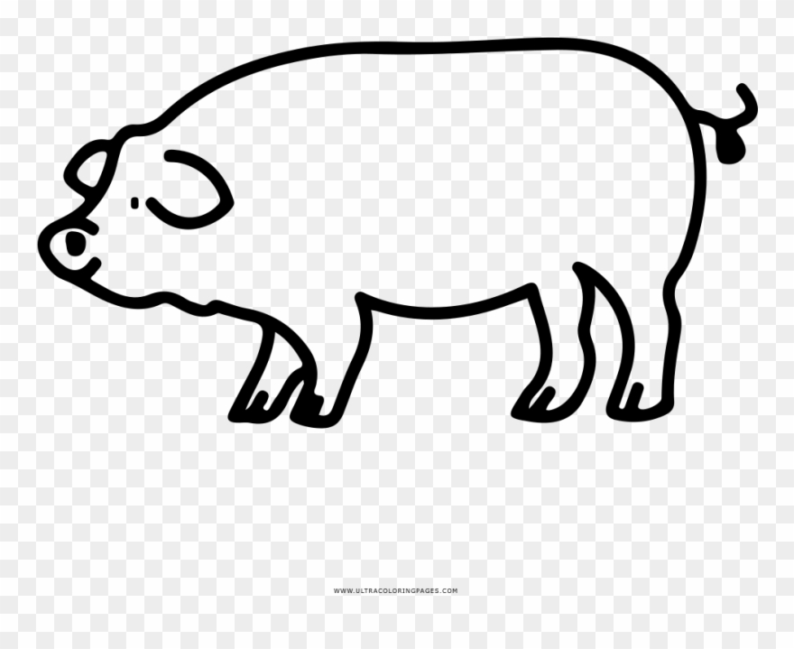 Schwein Ausmalbilder - Pork Clipart