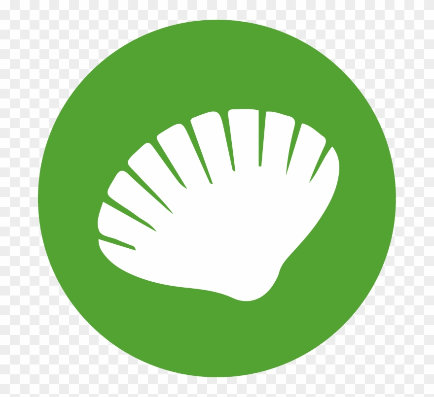 Muscheln - Green Email Logo Png Clipart