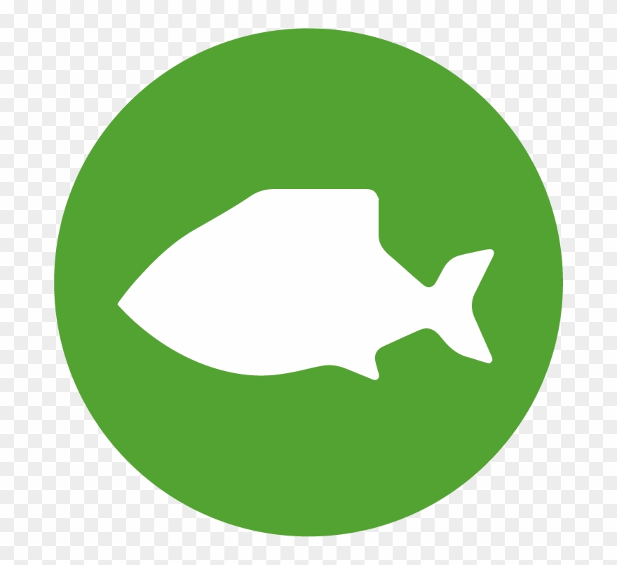 Muscheln - Fische - Profile Game Clipart