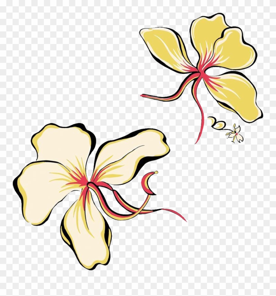 Flower Decorative Pattern - 精美 壁纸 Clipart