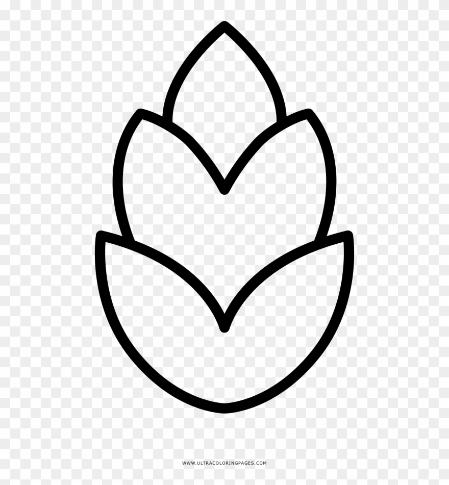 Pine Cone Coloring Page - Line Art Clipart