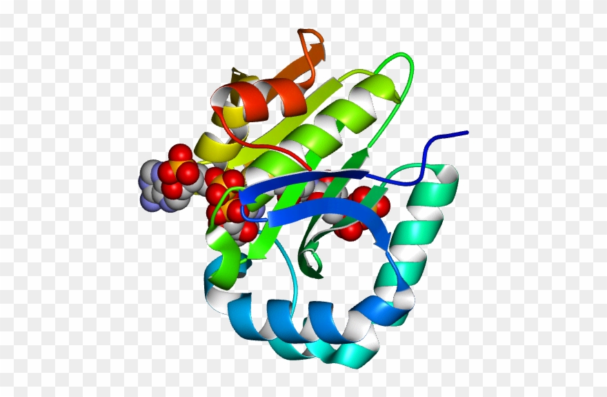 Database Information - Illustration Clipart