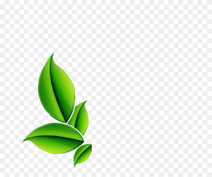 Herb Png Clipart