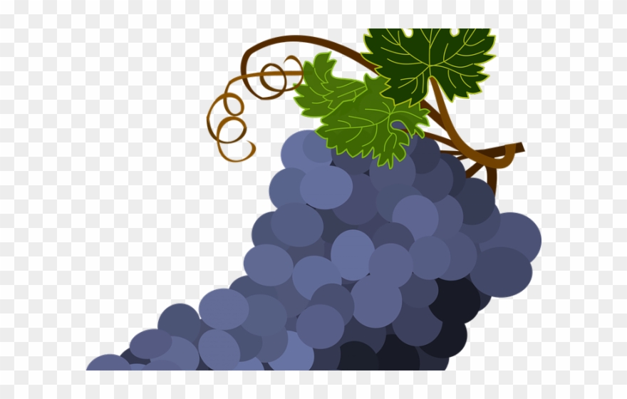 Grapes Clipart Transparent Background - Cacho De Uvas Vetor - Png Download