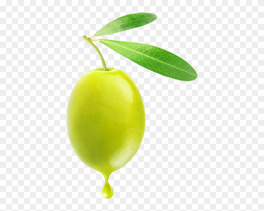 Olive Png Clipart