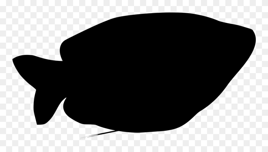Download Png - Bony-fish Clipart