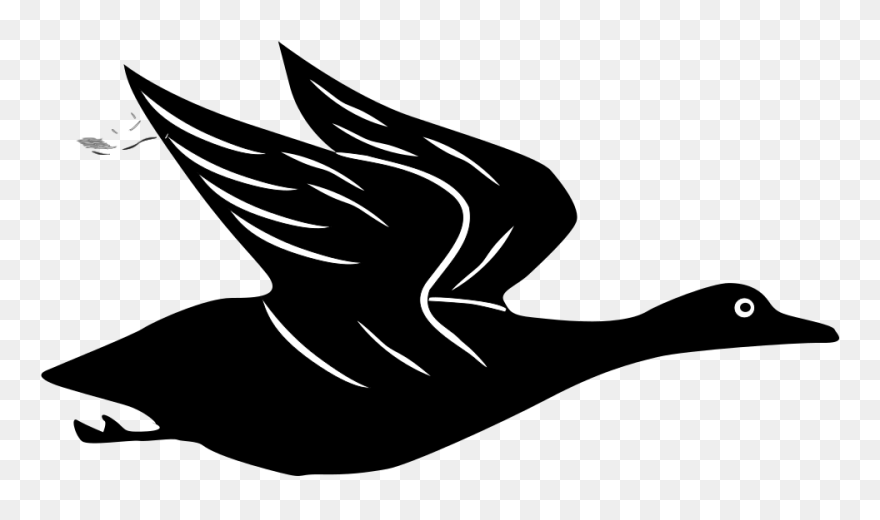 How To Set Use Duck Flying Svg Vector Clipart