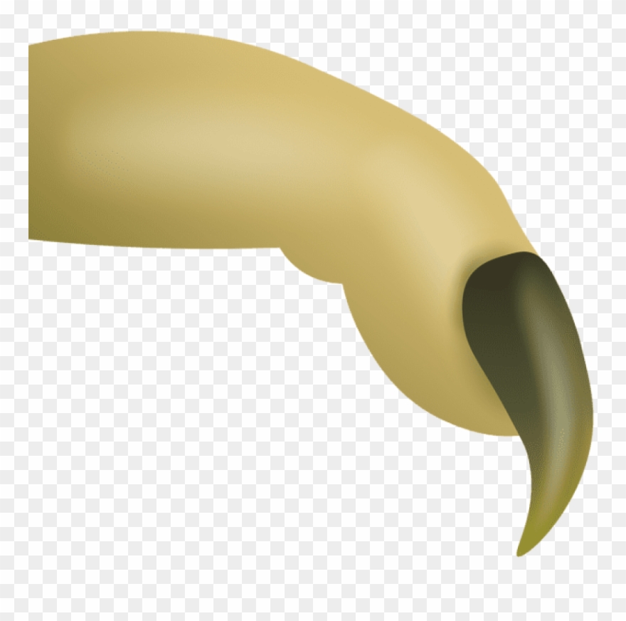 Free Png Download Witch Finger Png Images Background - Witches Fingers Clipart Transparent Png