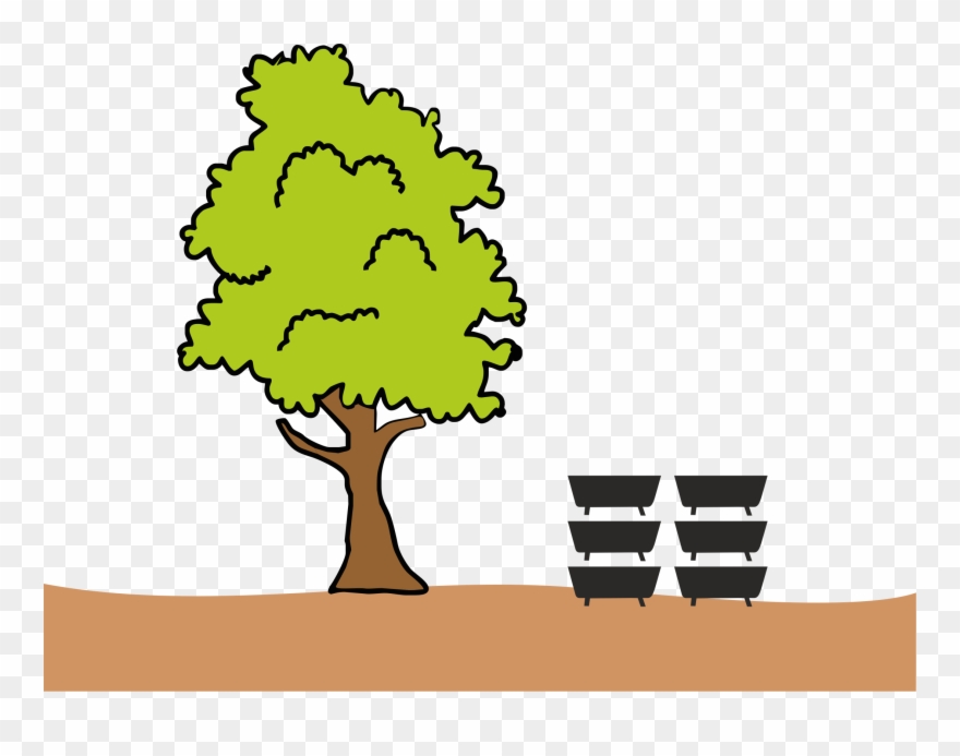 Very Early In The Morning When It Is Still Misty, One - Illustration Clipart