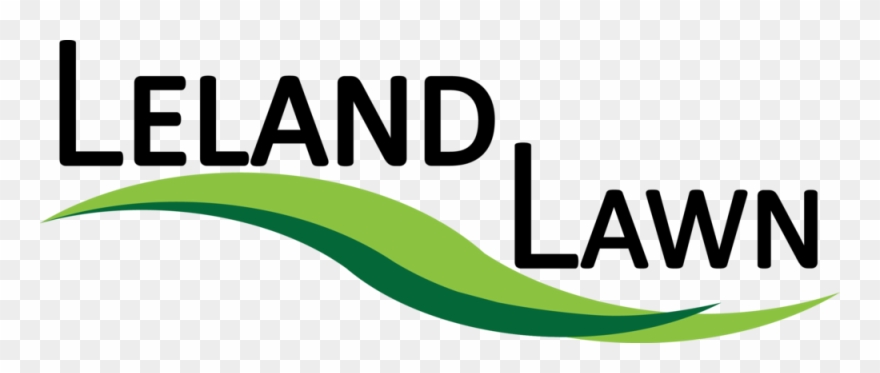 Final Ll Logo No Phone Number Clipart