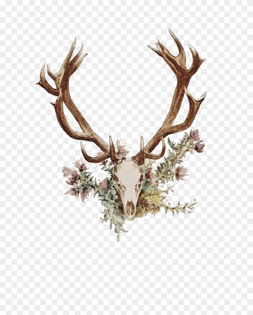 Antlers And Flowers Png Free - Deer Antler And Flower Tattoo Clipart