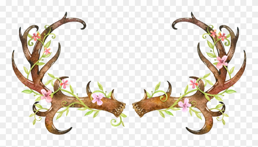 White Tailed Deer Elk Clipart