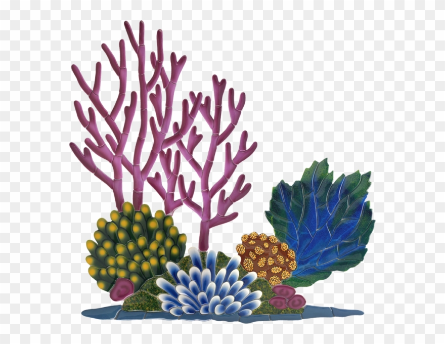 Little Tile Inc - Coral Reef Clipart - Png Download