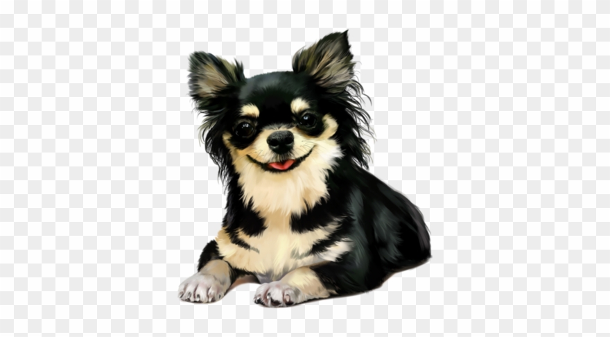 ƤนᏢᏢᎽℓღⱴε Animal Photography, Clip Art, Cute Dogs, - Guten Morgen Grußbilder Lustig - Png Download