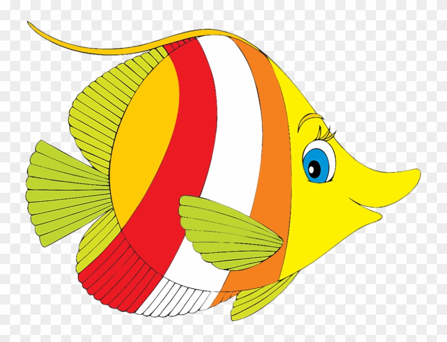 Peinture Sur Porcelaine, Flacons, Animaux Aquatiques, - Tropical Fish Clip Art - Png Download