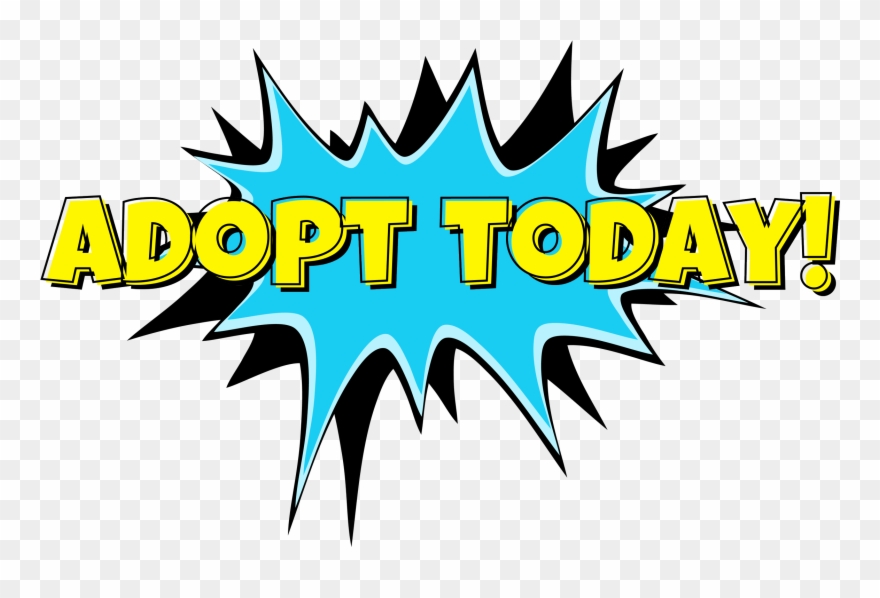 "adopt Today" Transparent Comic Style Clip Art - Png Name Akash Logo