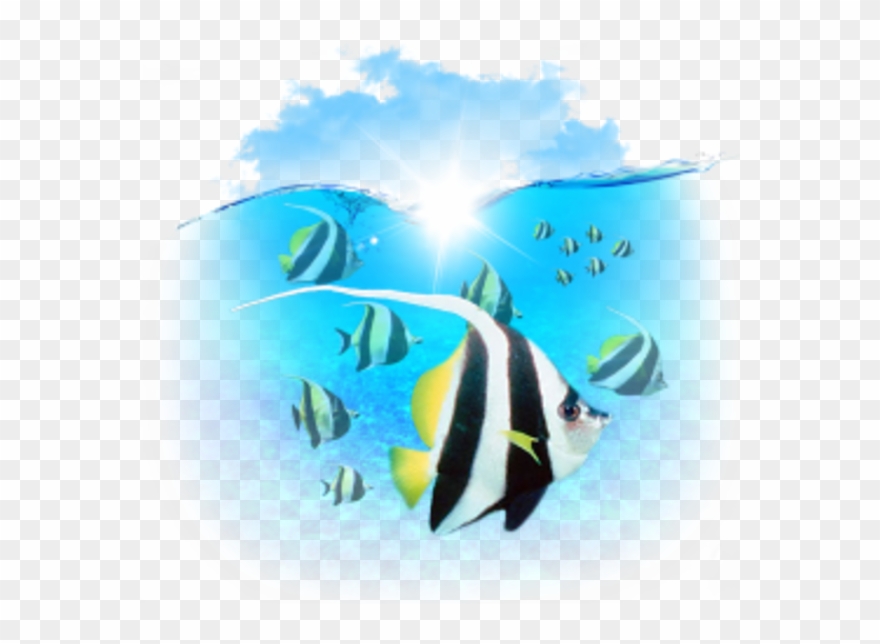 Marine Biology Clipart Computer Icons Clip Art - Little Fish - Png Download