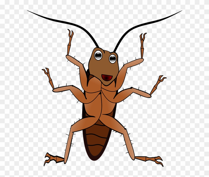 Antenna Clipart Ant - แมลงสาบ การ์ตูน Png Transparent Png