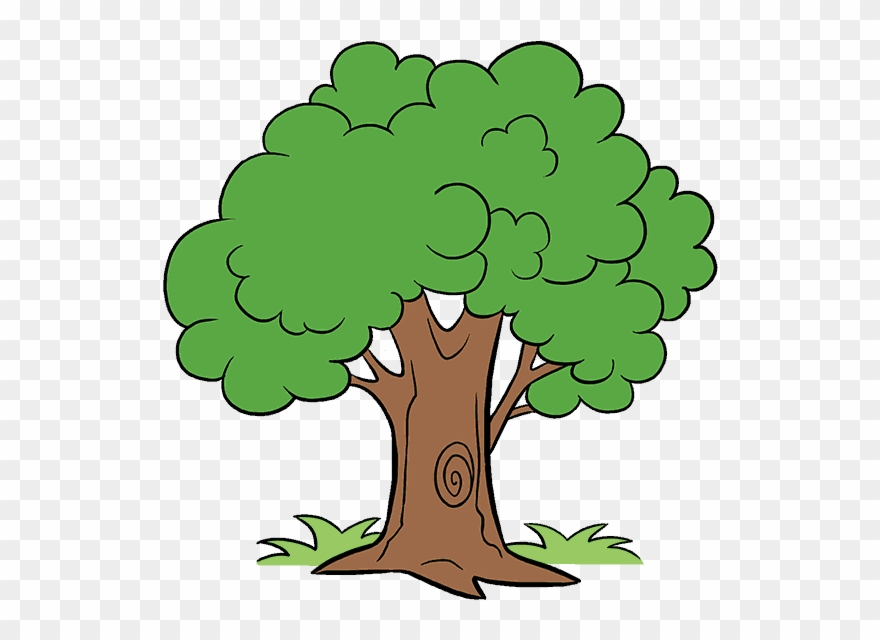 Tree Cartoon Png - Cartoon Images Of Tree Clipart