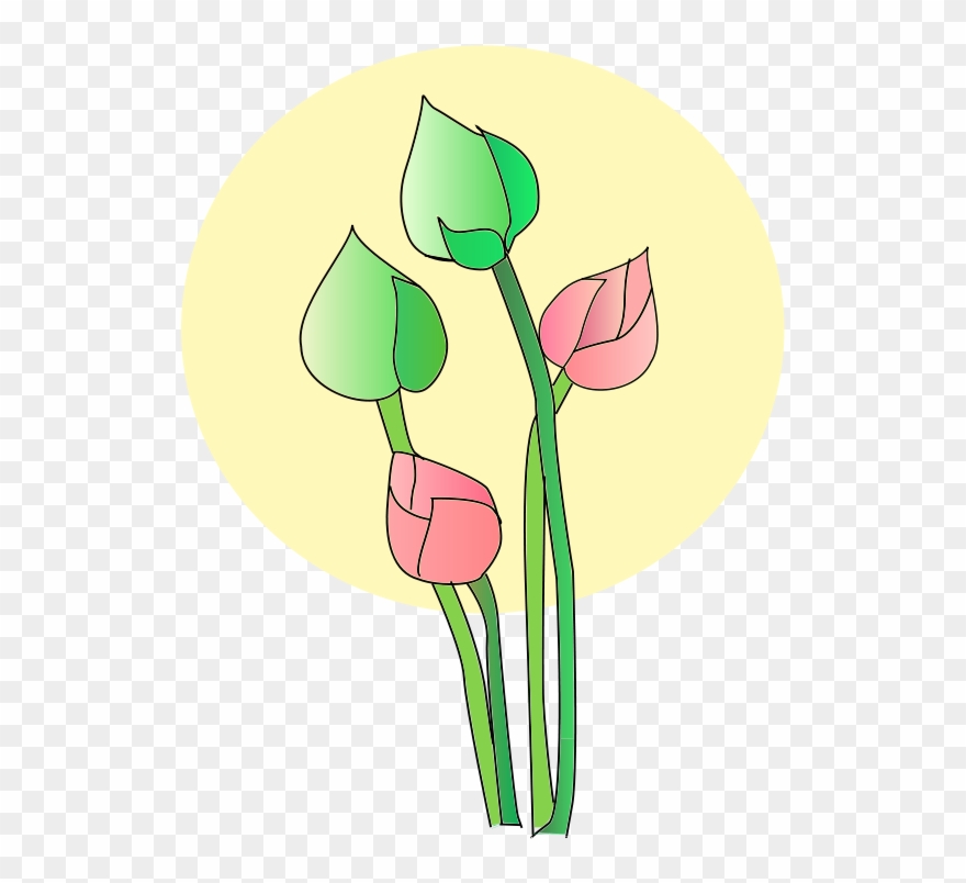 Buddhism Drawing Computer Icons Line Art Download - Lotuses Clipart - Png Download