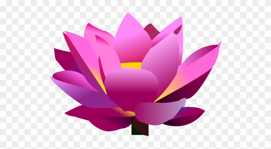 Lotus Flower Graphic Png - Lotus Flower In Png File Clipart