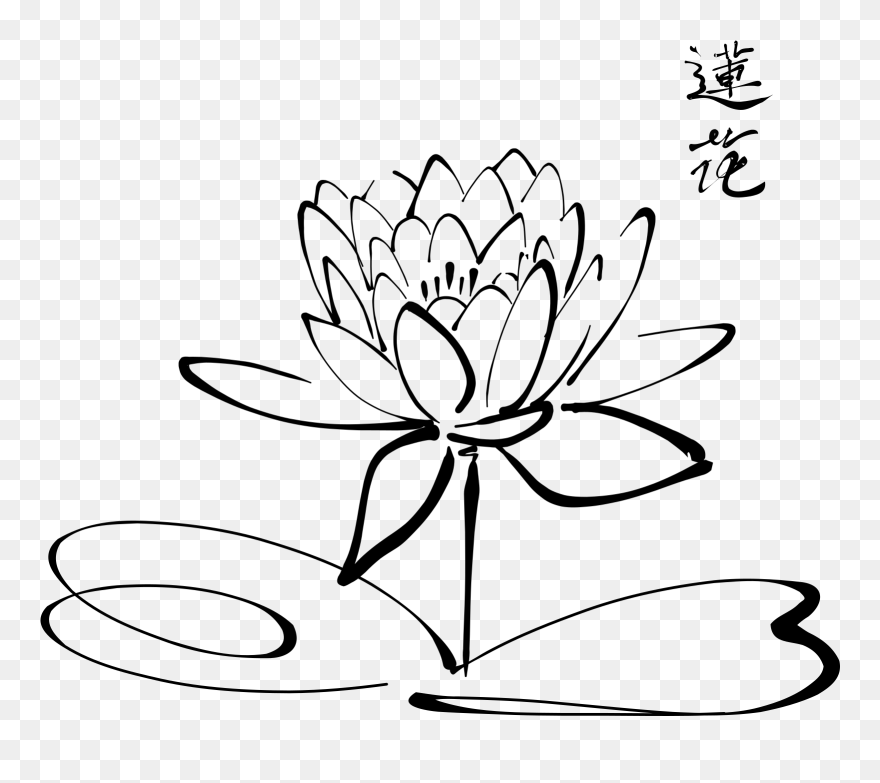 Lotus Clipart Calligraphy - Flor De Loto Para Dibujar - Png Download