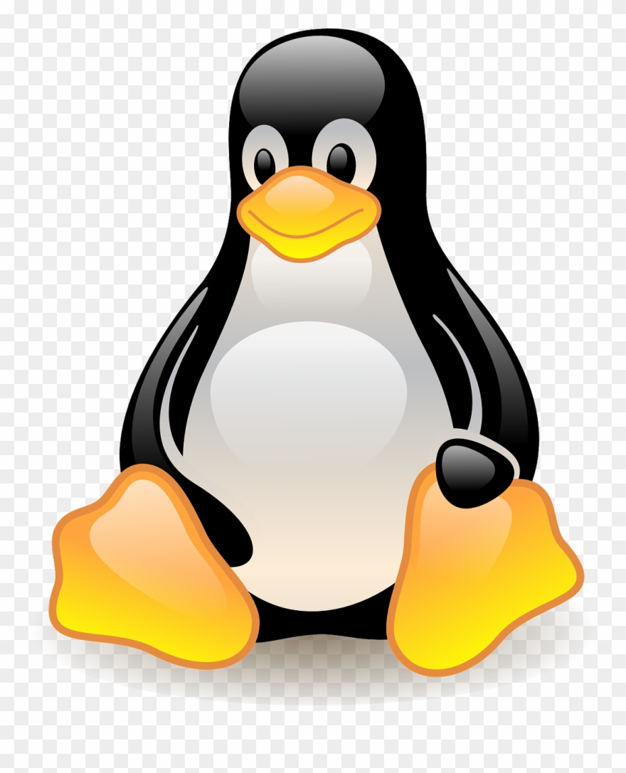 Linux - Linux Penguin No Background Clipart