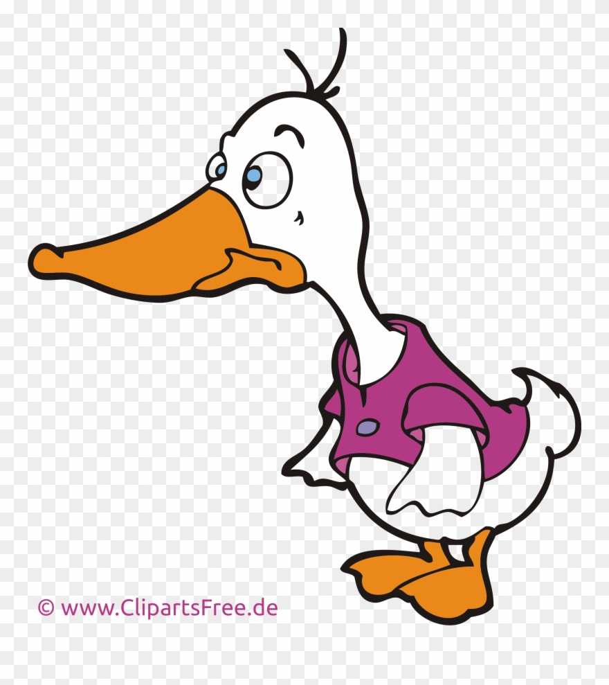 Oie Image Gratuite Ferme Cliparts - Gänse Cartoon - Png Download