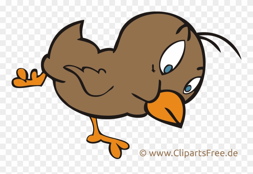 Images Gratuites Poussin Ferme Clipart - Clip Art - Png Download
