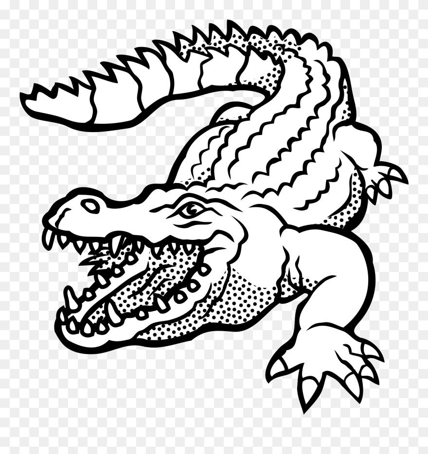 Crocodile - Lineart - Crocodile Clipart Black And White - Png Download